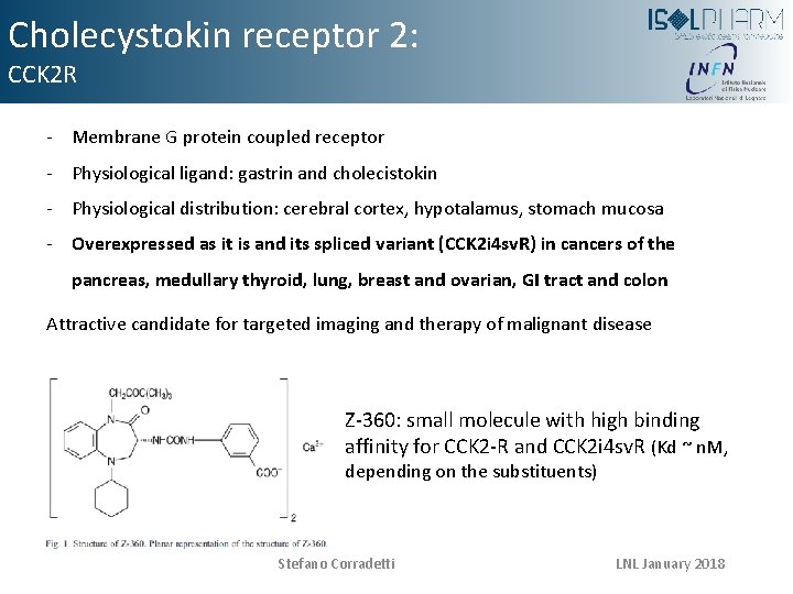 Cholecystokin receptor 2: CCK 2 R - Membrane G protein coupled receptor - Physiological