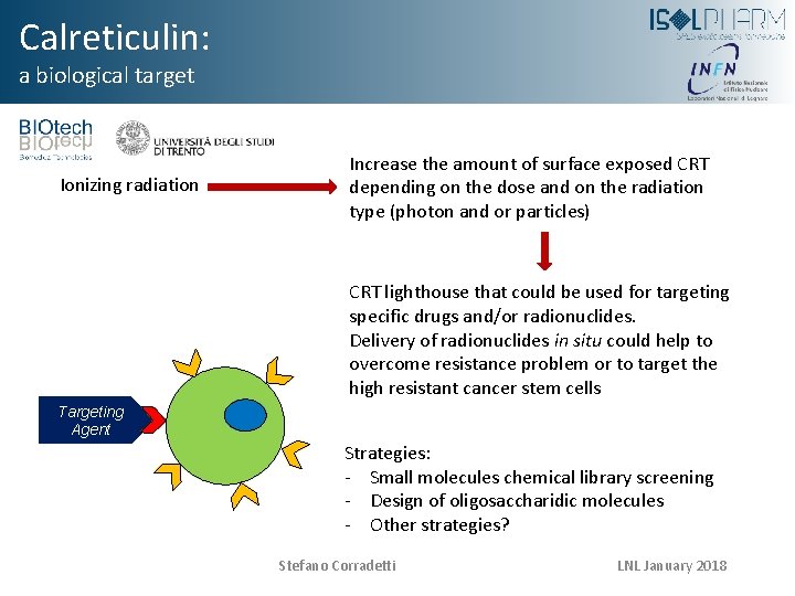 Calreticulin: a biological target Ionizing radiation Increase the amount of surface exposed CRT depending