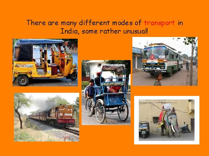 There are many different modes of transport in India, some rather unusual! 