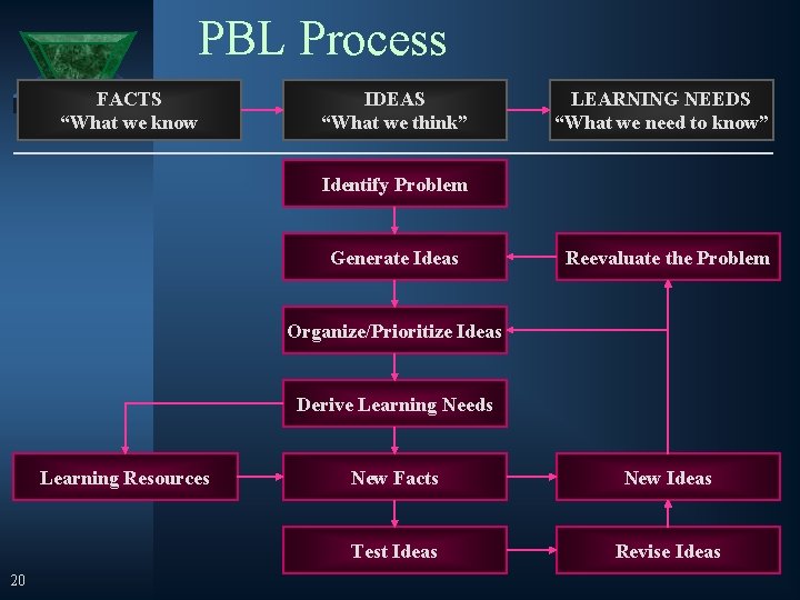 PBL Process FACTS “What we know IDEAS “What we think” LEARNING NEEDS “What we