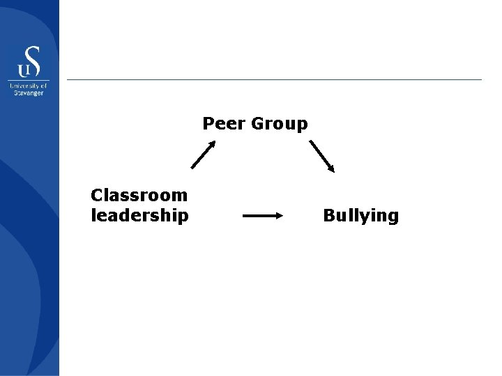 Peer Group Classroom leadership Bullying 