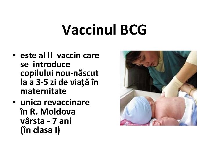 Vaccinul BCG • este al II vaccin care se introduce copilului nou-născut la a