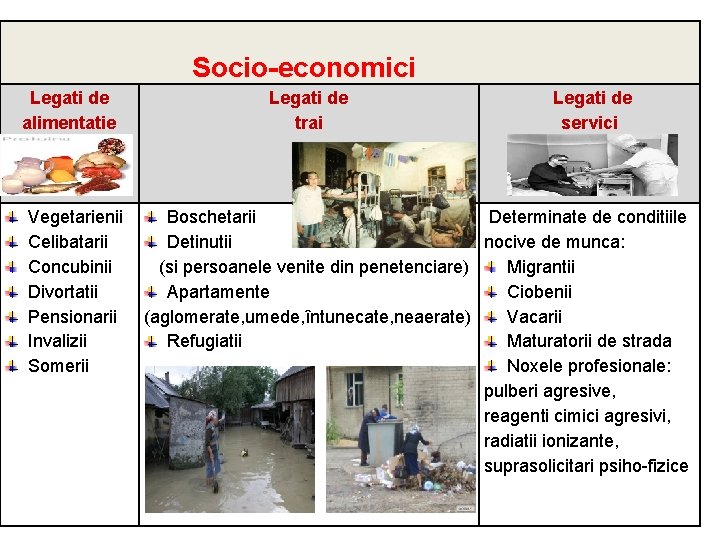  Socio-economici Legati de alimentatie Vegetarienii Celibatarii Concubinii Divortatii Pensionarii Invalizii Somerii Legati de