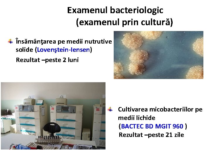 Examenul bacteriologic (examenul prin cultură) Însămânţarea pe medii nutrutive solide (Lovenştein-Iensen) Rezultat –peste 2