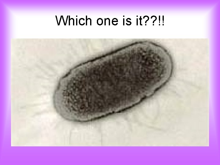 Which one is it? ? !! 