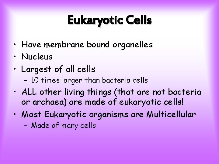 Eukaryotic Cells • Have membrane bound organelles • Nucleus • Largest of all cells
