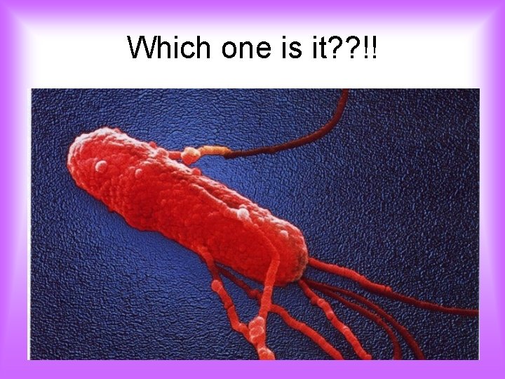 Which one is it? ? !! 