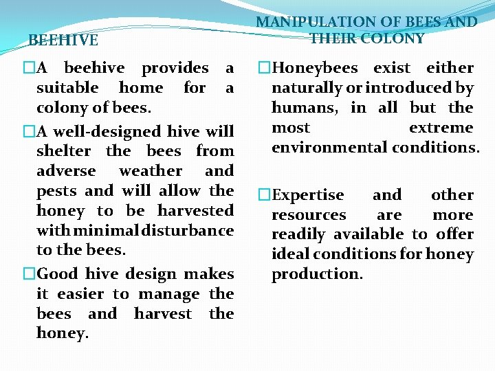 BEEHIVE �A beehive provides a suitable home for a colony of bees. �A well-designed