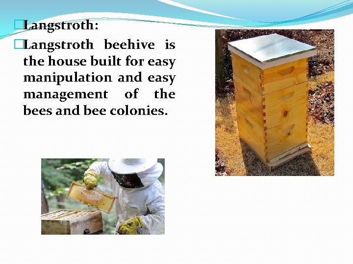 �Langstroth: �Langstroth beehive is the house built for easy manipulation and easy management of