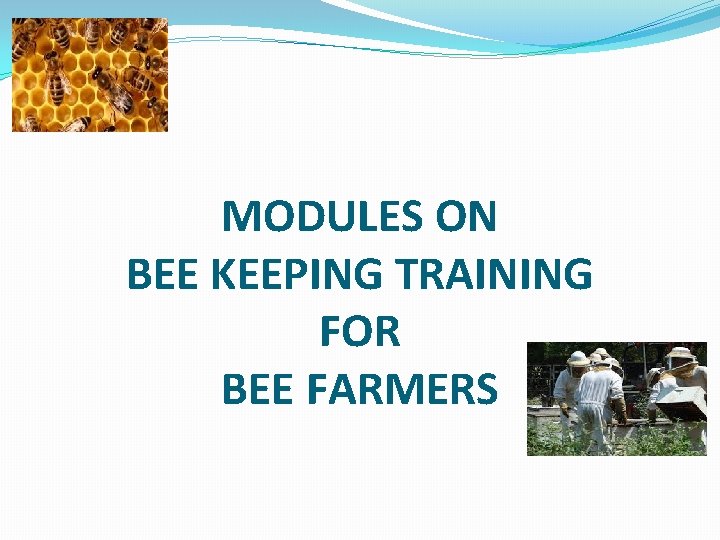 MODULES ON BEE KEEPING TRAINING FOR BEE FARMERS 