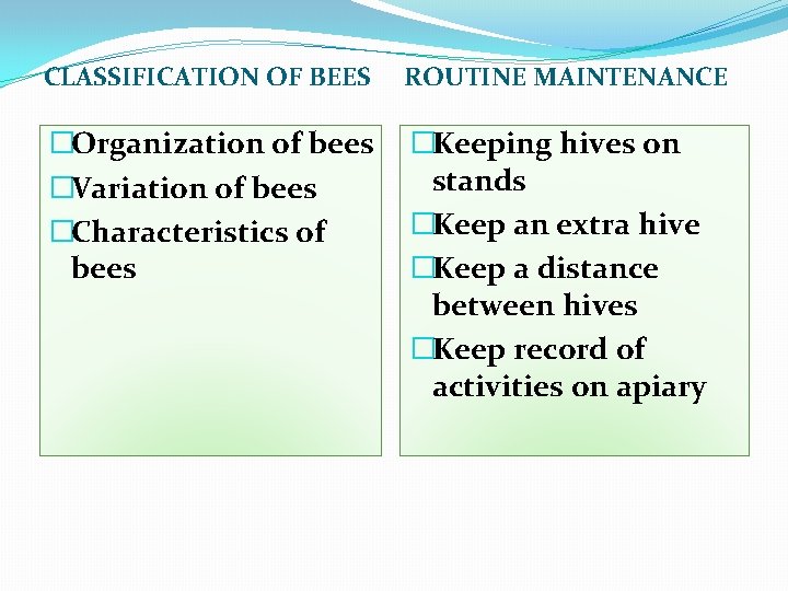 CLASSIFICATION OF BEES ROUTINE MAINTENANCE �Organization of bees �Variation of bees �Characteristics of bees
