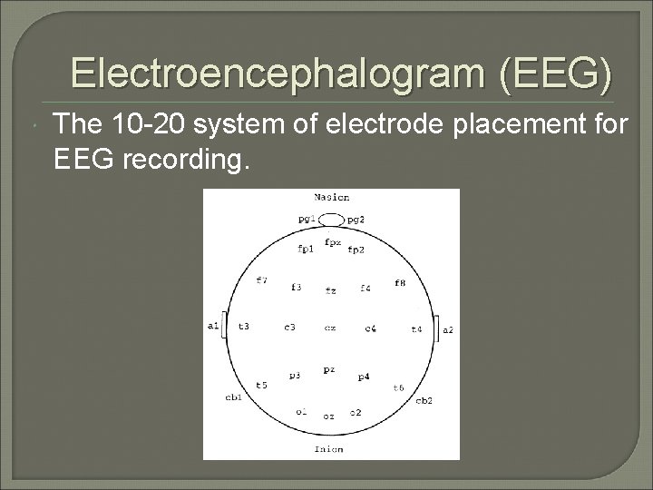 Electroencephalogram (EEG) The 10 -20 system of electrode placement for EEG recording. 