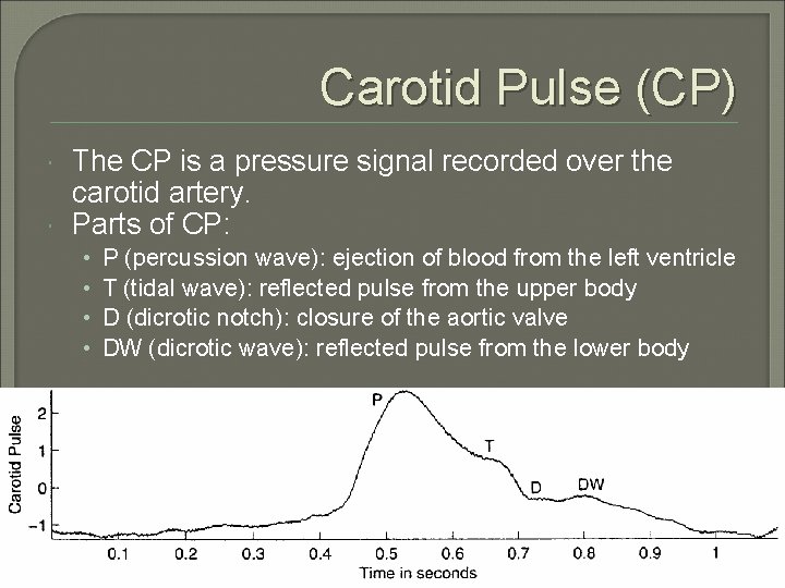Carotid Pulse (CP) The CP is a pressure signal recorded over the carotid artery.