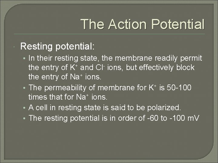 The Action Potential Resting potential: • In their resting state, the membrane readily permit