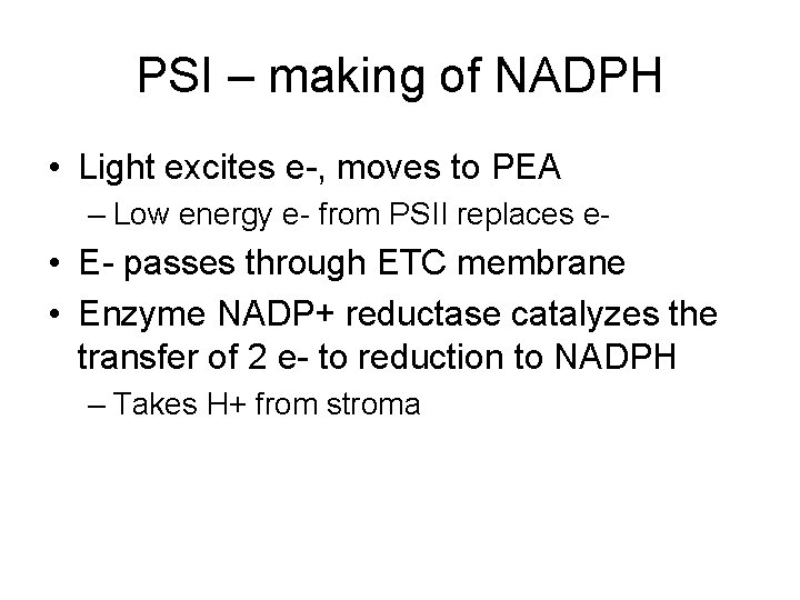 PSI – making of NADPH • Light excites e-, moves to PEA – Low