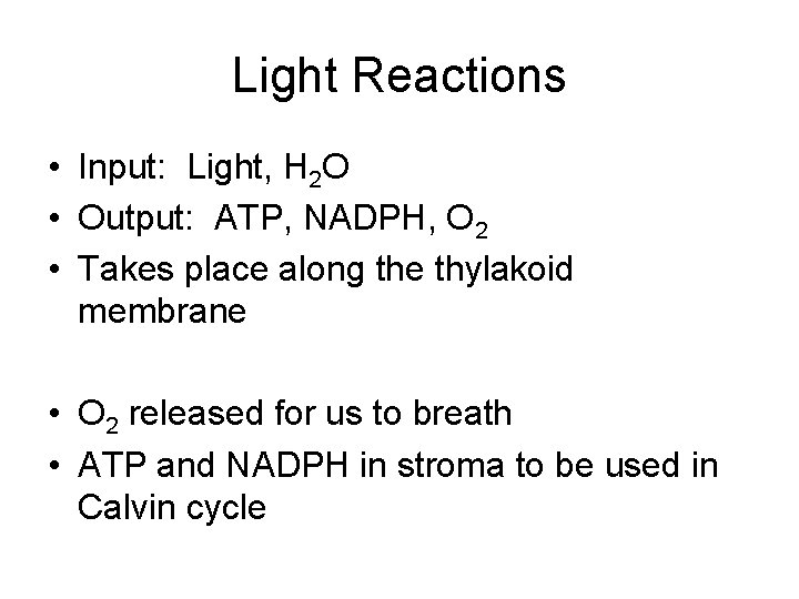 Light Reactions • Input: Light, H 2 O • Output: ATP, NADPH, O 2