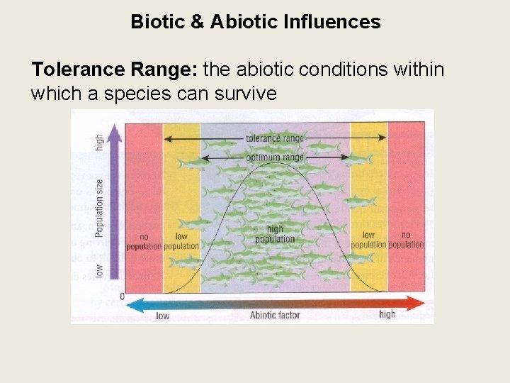 Biotic & Abiotic Influences Tolerance Range: the abiotic conditions within which a species can