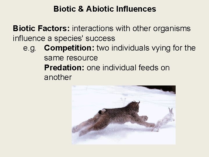 Biotic & Abiotic Influences Biotic Factors: interactions with other organisms influence a species' success