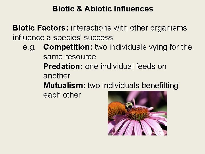 Biotic & Abiotic Influences Biotic Factors: interactions with other organisms influence a species' success