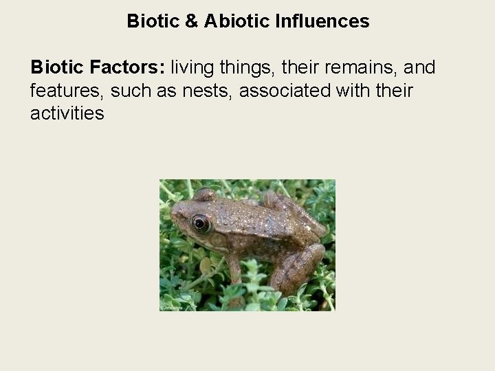 Biotic & Abiotic Influences Biotic Factors: living things, their remains, and features, such as