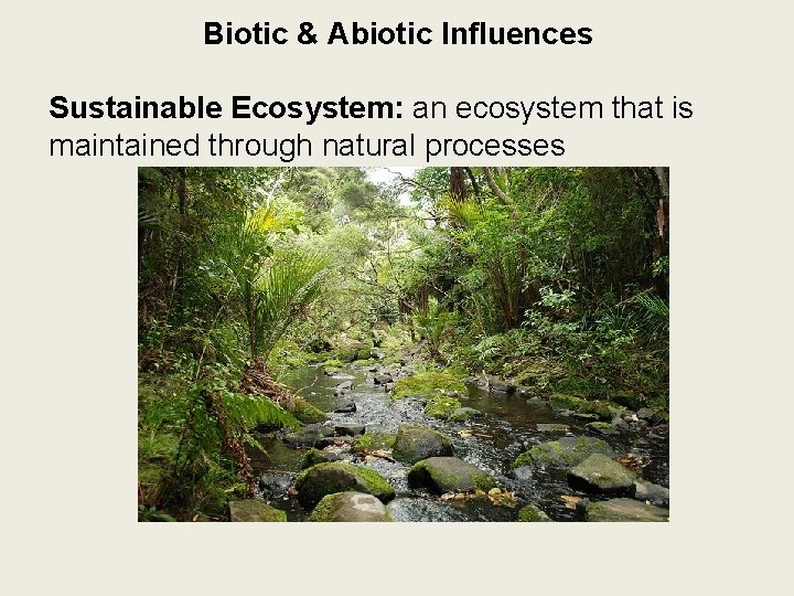 Biotic & Abiotic Influences Sustainable Ecosystem: an ecosystem that is maintained through natural processes