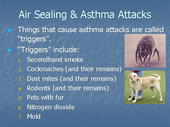 Air Sealing & Asthma Attacks n n Things that cause asthma attacks are called