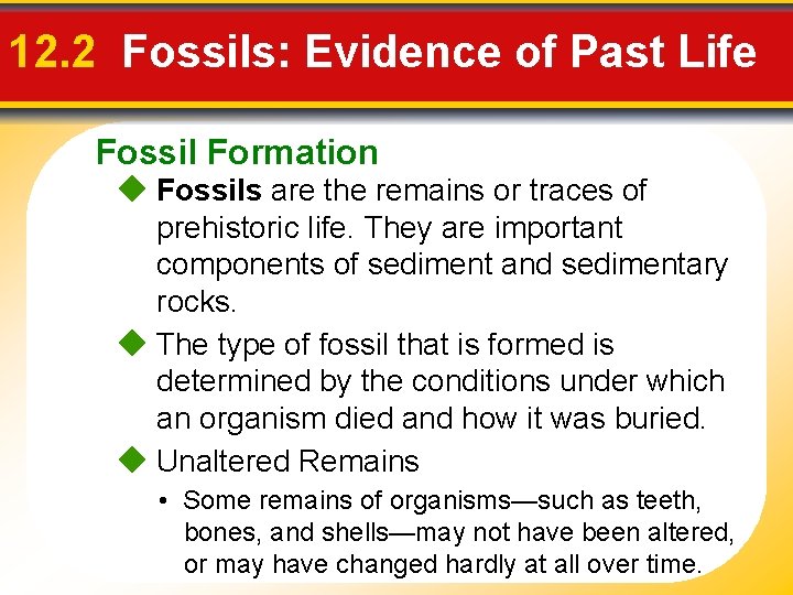 12. 2 Fossils: Evidence of Past Life Fossil Formation Fossils are the remains or