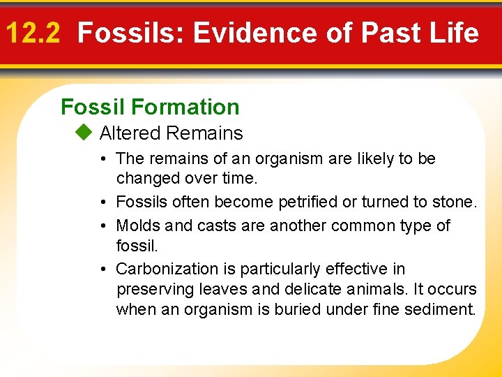 12. 2 Fossils: Evidence of Past Life Fossil Formation Altered Remains • The remains