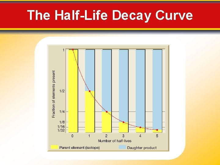 The Half-Life Decay Curve 