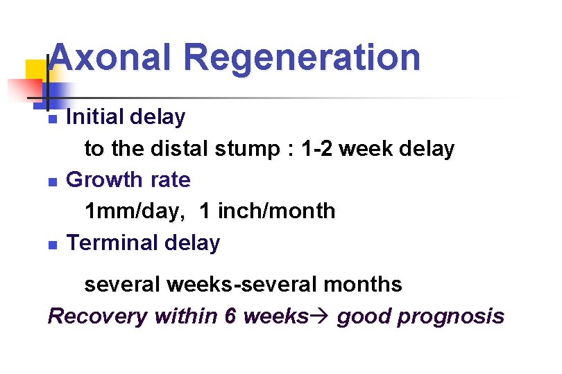 Axonal Regeneration Initial delay to the distal stump : 1 -2 week delay Growth