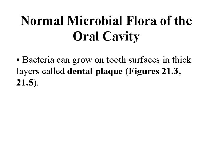 Normal Microbial Flora of the Oral Cavity • Bacteria can grow on tooth surfaces