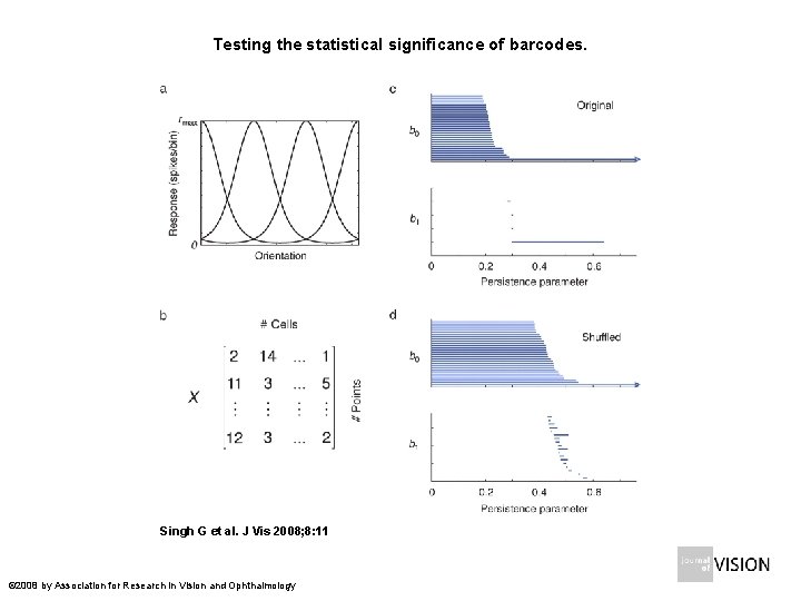 Testing the statistical significance of barcodes. Singh G et al. J Vis 2008; 8: