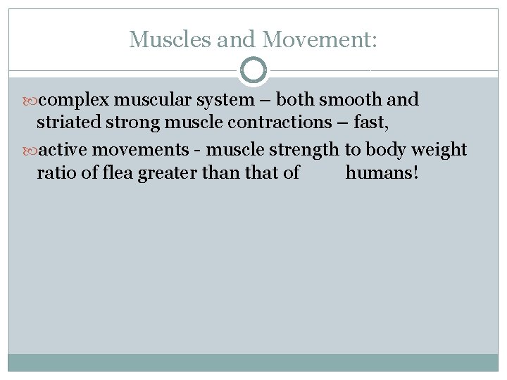 Muscles and Movement: complex muscular system – both smooth and striated strong muscle contractions