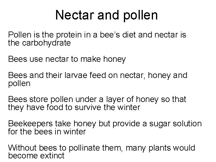 Nectar and pollen Pollen is the protein in a bee’s diet and nectar is