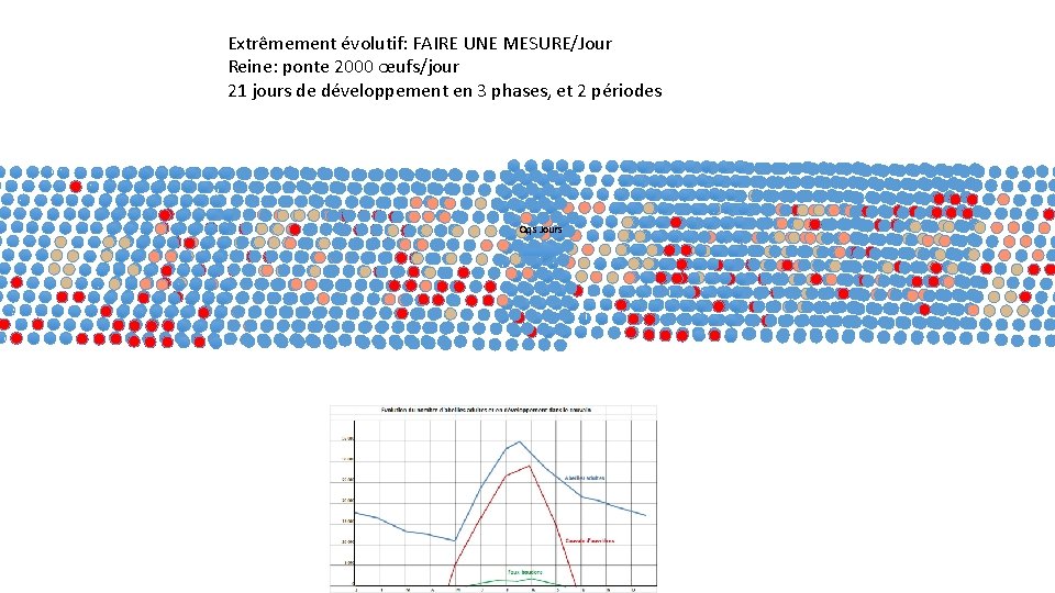 Extrêmement évolutif: FAIRE UNE MESURE/Jour Reine: ponte 2000 œufs/jour 21 jours de développement en