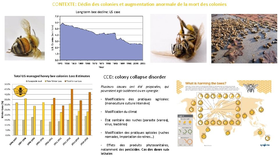 CONTEXTE: Déclin des colonies et augmentation anormale de la mort des colonies Long term