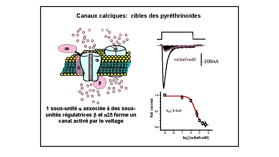 Canaux calciques: cibles des pyréthrinoïdes a 2 mibefradil a 1 -200 n. A d