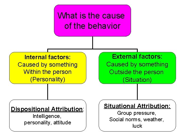 What is the cause of the behavior Internal factors: Caused by something Within the