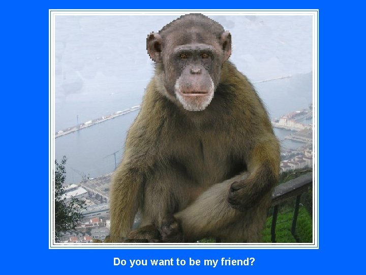 Do you want to be my friend? 