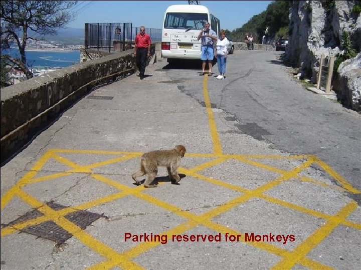 Parking reserved for Monkeys 