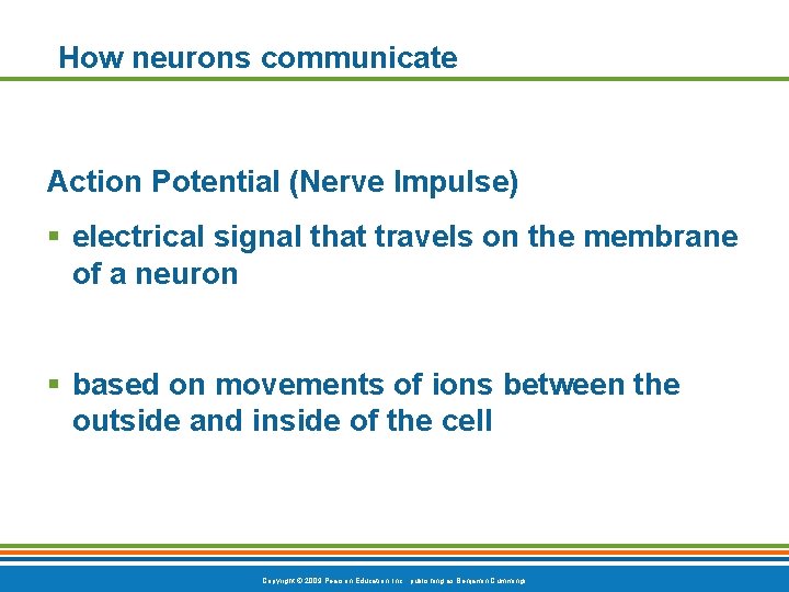 How neurons communicate Action Potential (Nerve Impulse) § electrical signal that travels on the