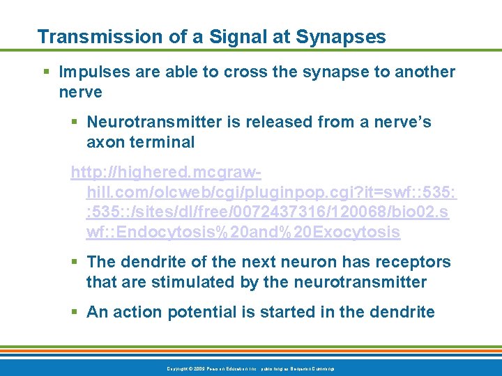 Transmission of a Signal at Synapses § Impulses are able to cross the synapse