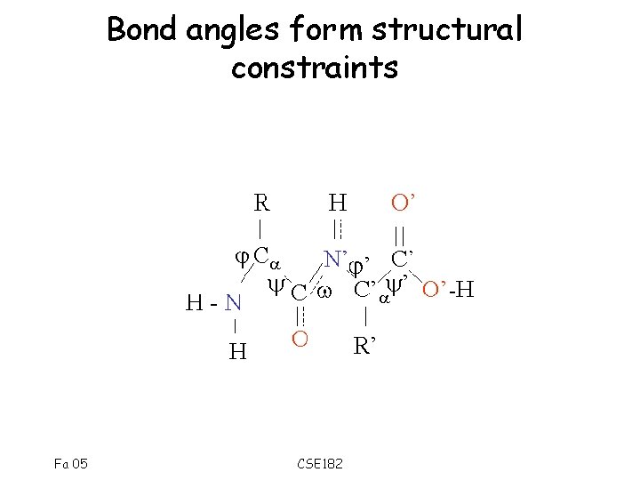 Bond angles form structural constraints Fa 05 CSE 182 