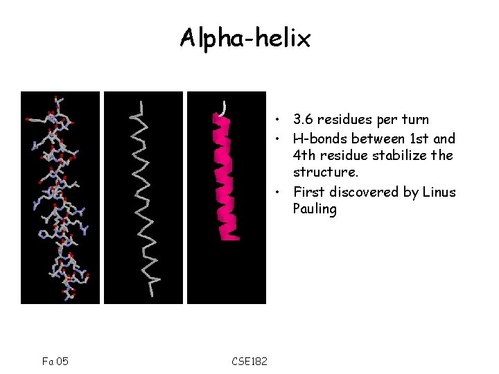 Alpha-helix • 3. 6 residues per turn • H-bonds between 1 st and 4