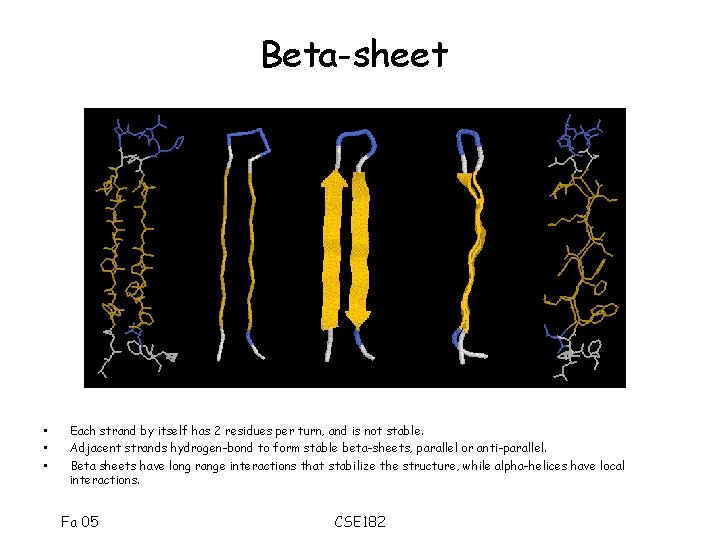 Beta-sheet • • • Each strand by itself has 2 residues per turn, and