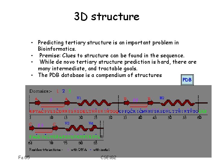 3 D structure • Predicting tertiary structure is an important problem in Bioinformatics. •