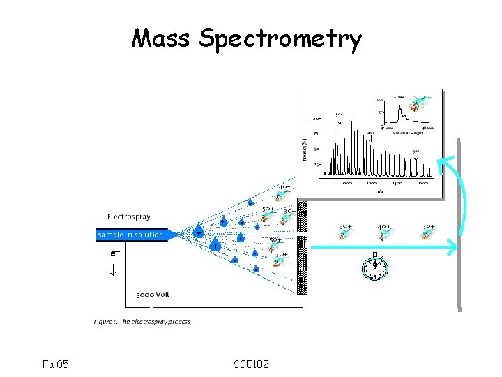 Mass Spectrometry Fa 05 CSE 182 