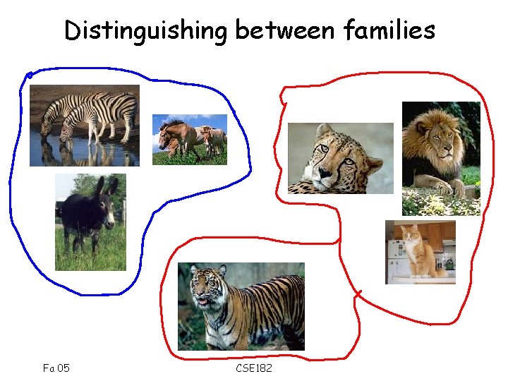 Distinguishing between families Fa 05 CSE 182 