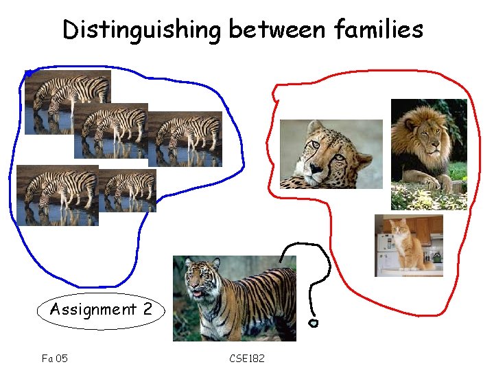 Distinguishing between families Assignment 2 Fa 05 CSE 182 