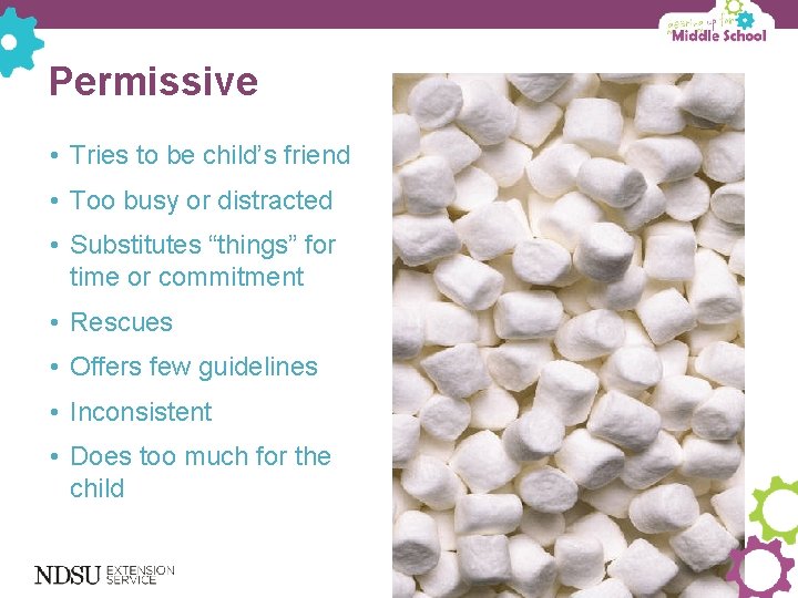 Permissive • Tries to be child’s friend • Too busy or distracted • Substitutes